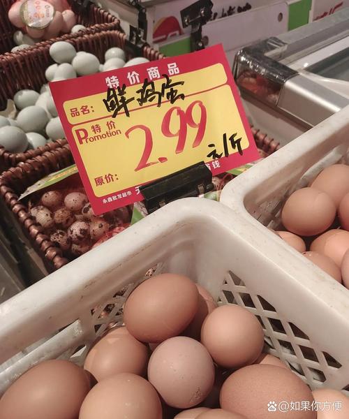 哈尔滨市今天鸡蛋价格多少钱一斤?-图1 哈尔滨市今天鸡蛋价格多少钱一斤?-图1