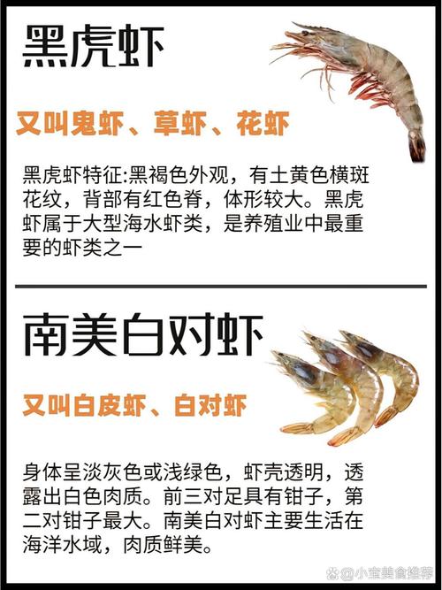 什么观赏虾最好养又便宜?-图2 什么观赏虾最好养又便宜?-图2