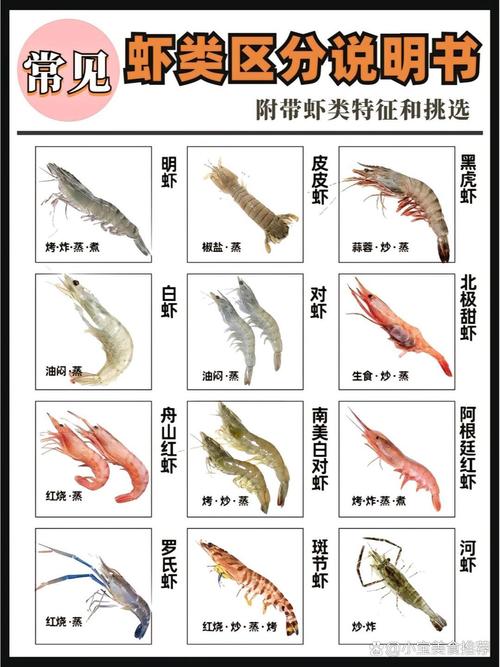 什么观赏虾最好养又便宜?-图1 什么观赏虾最好养又便宜?-图1