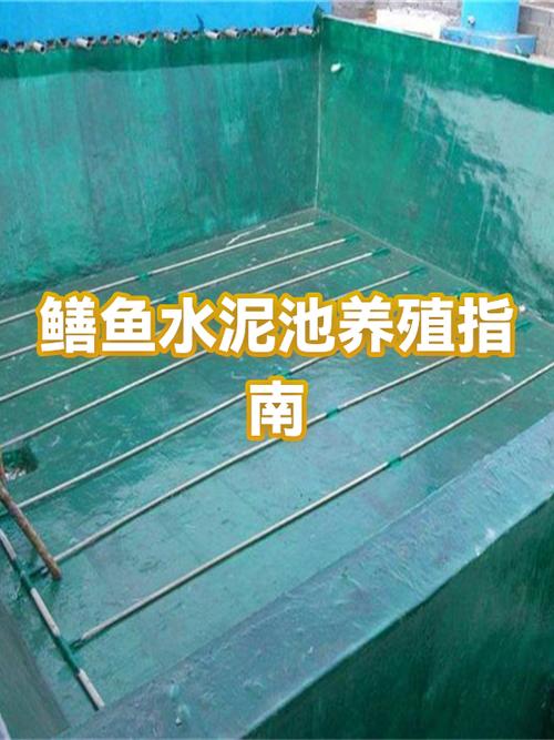 水泥池能养哪些水产？-图1