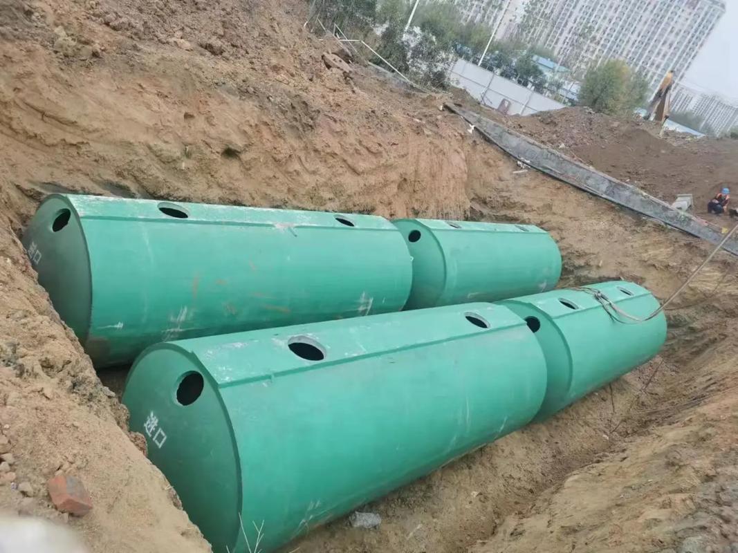 水泥池能养哪些水产？-图3