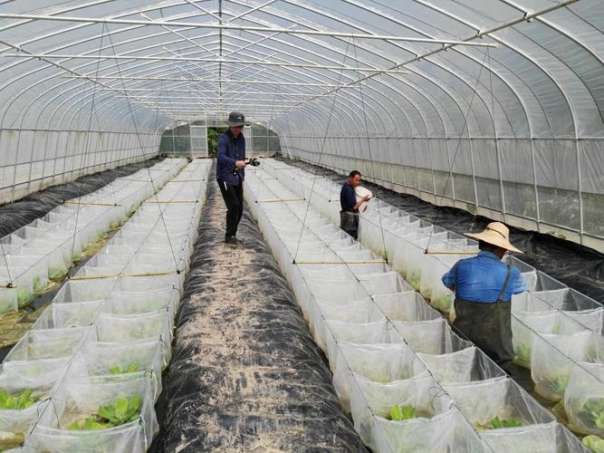 黄鳝养殖技术培训基地怎么学？-图2