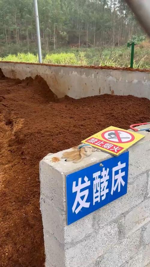 发酵床养猪法实用技术要点有哪些？-图1