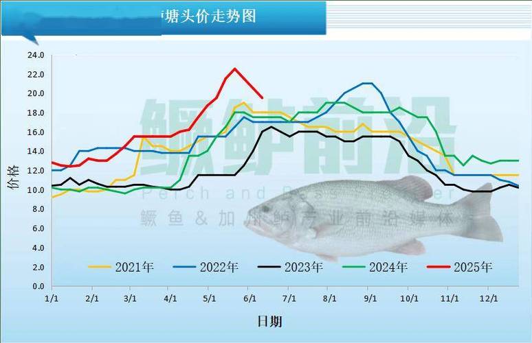 草鱼价格最新行情如何？后市会涨还是跌？-图2