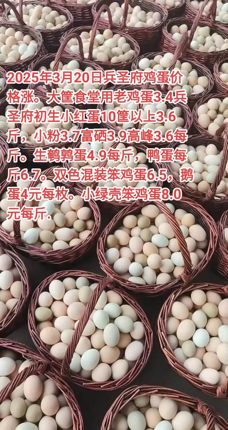 沈阳今日鸡蛋价格多少钱一斤?-图2 沈阳今日鸡蛋价格多少钱一斤?-图2