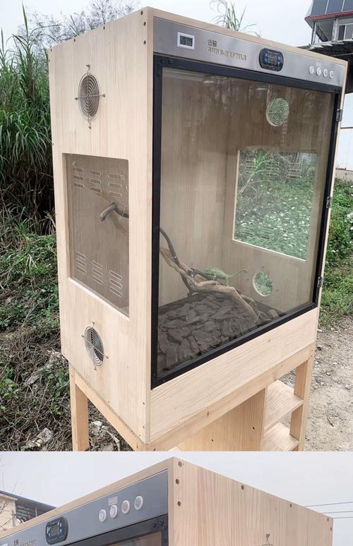 室内木箱养蛇视频，关键步骤有哪些？-图2