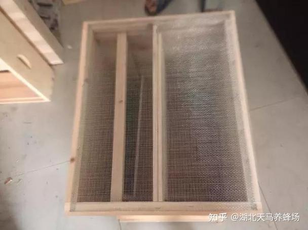 中华蜜蜂过箱技术视频-图1 中华蜜蜂过箱技术视频-图1