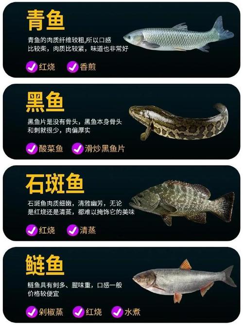 哪些鱼品种市场前景好？-图2