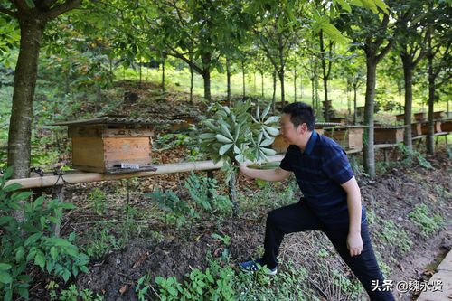 15年学哪些技术致富-图2 15年学哪些技术致富-图2