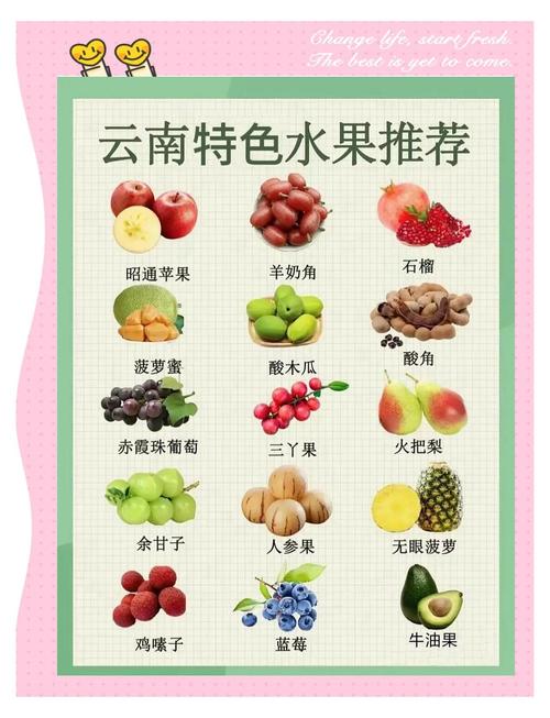 常见水果品种有哪些?-图1 常见水果品种有哪些?-图1