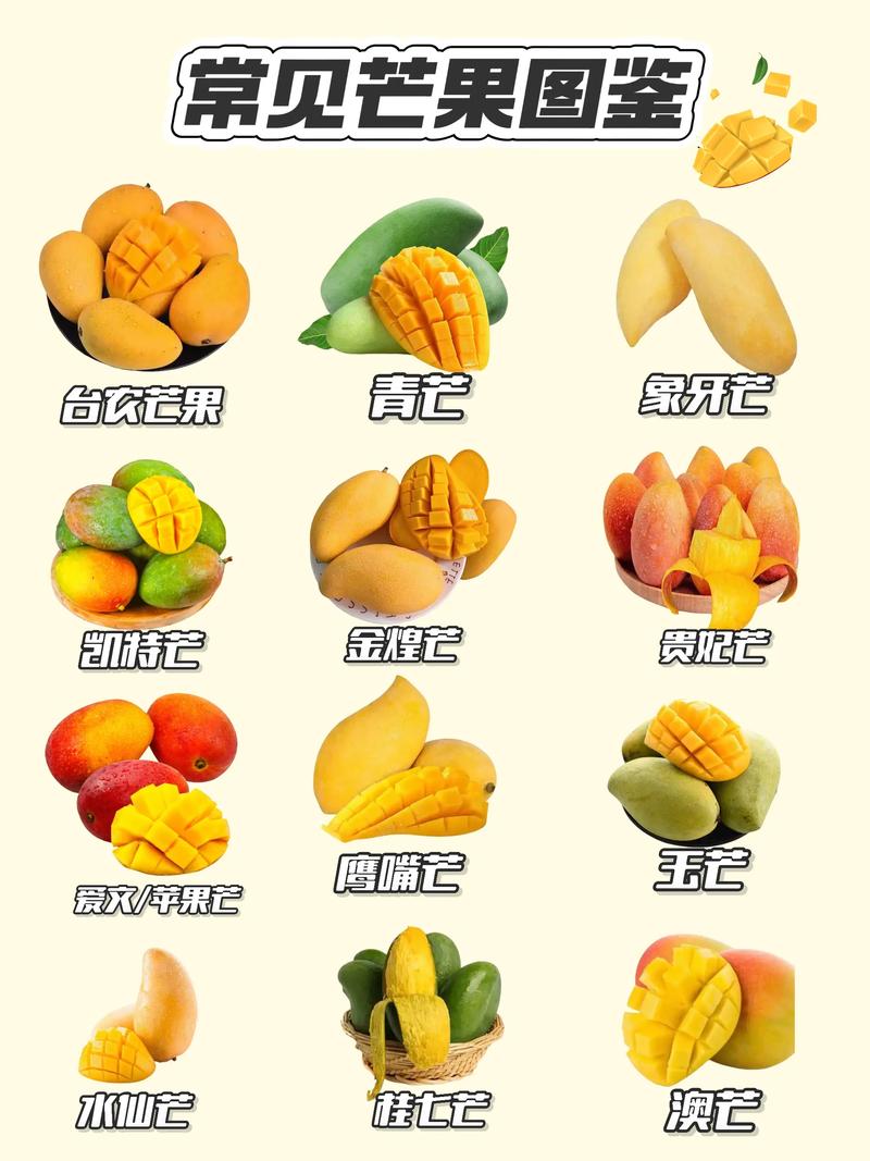常见水果品种有哪些？-图3