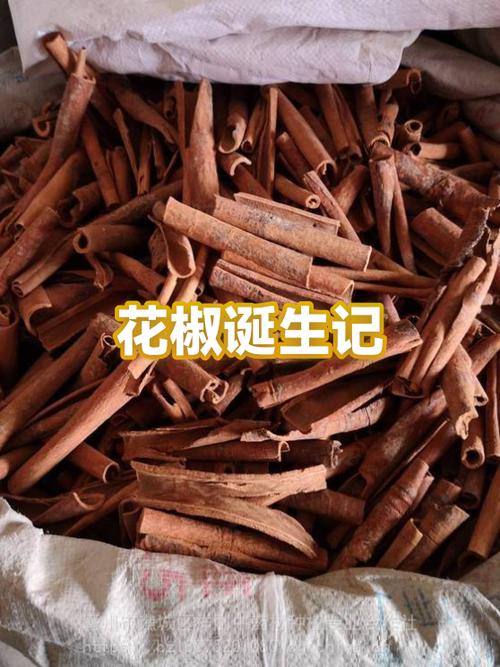 花椒价格现在什么走势?-图3 花椒价格现在什么走势?-图3