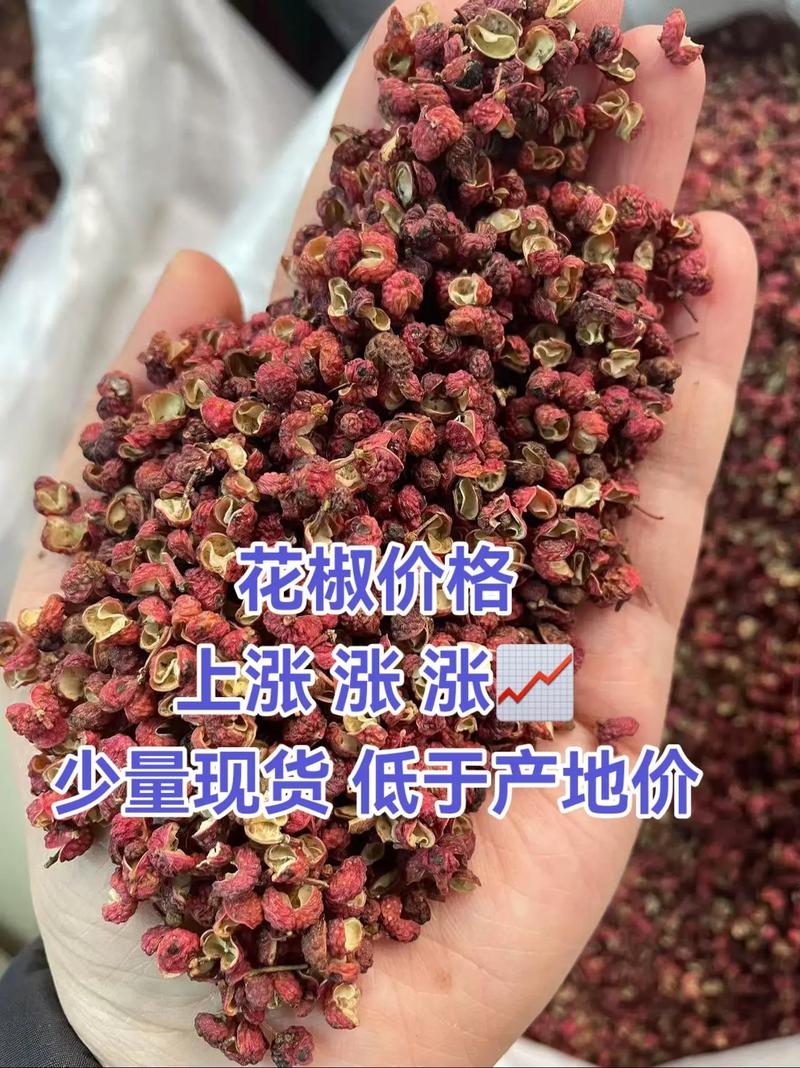 花椒价格现在什么走势?-图2 花椒价格现在什么走势?-图2