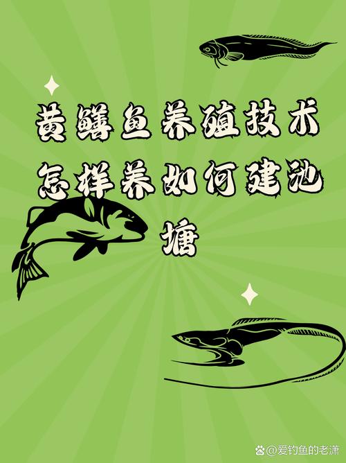 黄鳝生态养殖技术如何突破？-图2