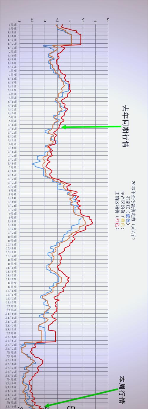 今天鸡蛋价格走势分析-图2