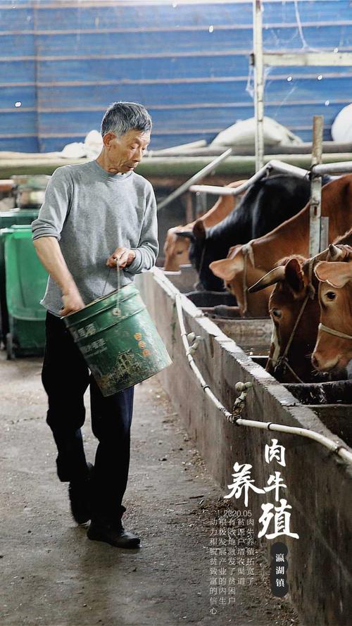 这几年几年学啥技术能致富？-图2