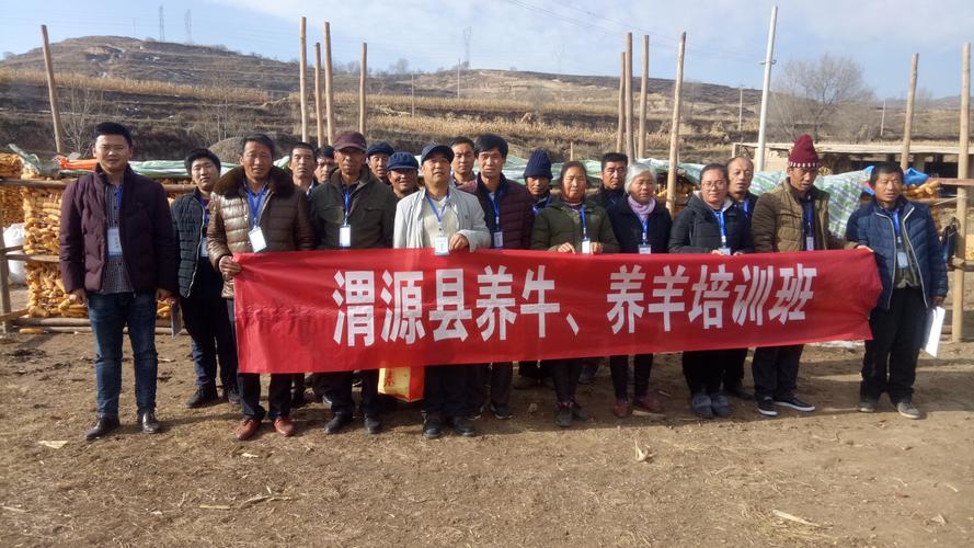 这几年几年学啥技术能致富？-图3