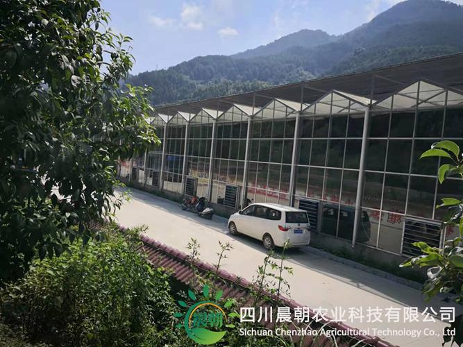 四川成都品种流养殖前景如何？-图2