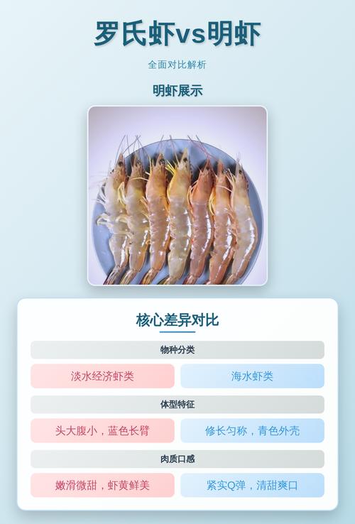 2025福州明虾价格会涨还是跌？-图2
