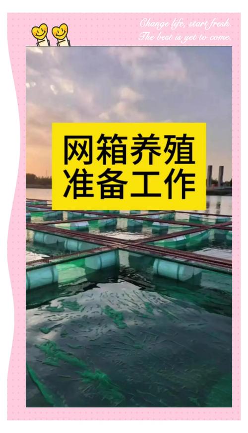 网箱鳝鱼养殖技术视频-图1