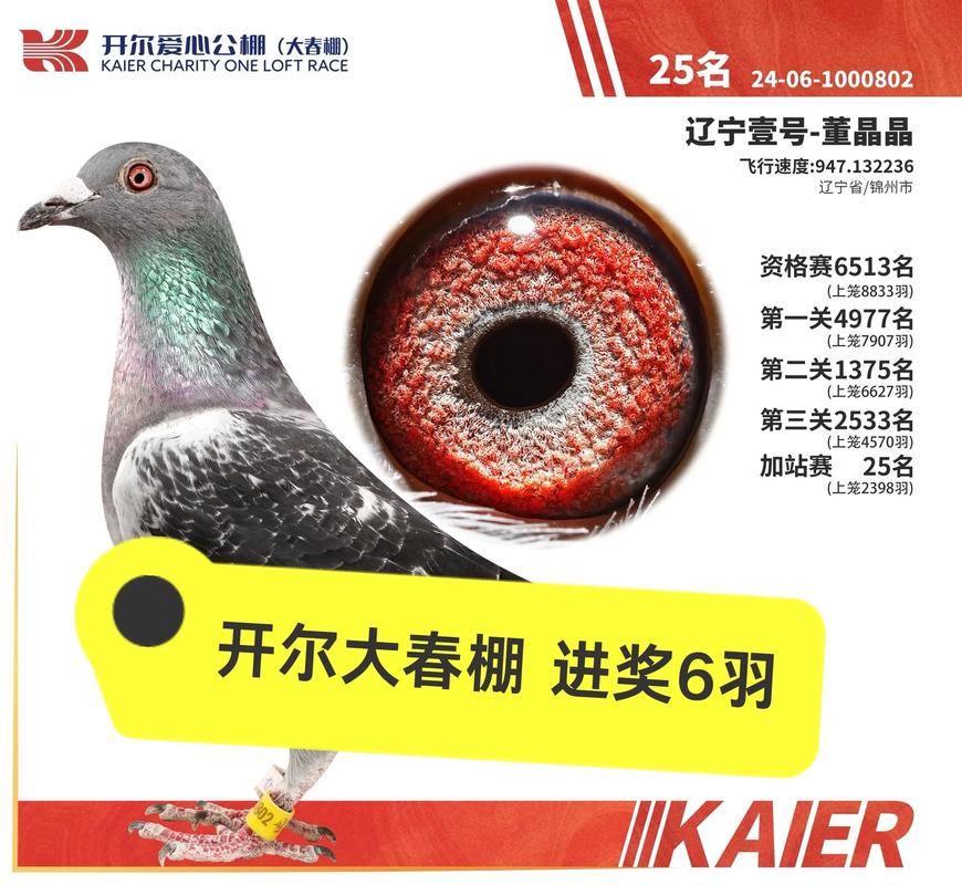 2025肉鸽价格走势如何?-图2 2025肉鸽价格走势如何?-图2