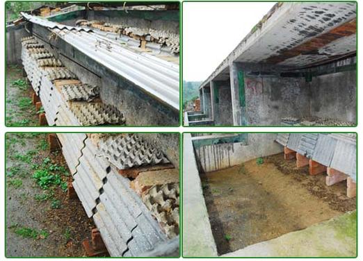 邢台野生蝎子养殖技术要点有哪些?-图1 邢台野生蝎子养殖技术要点有哪些?-图1