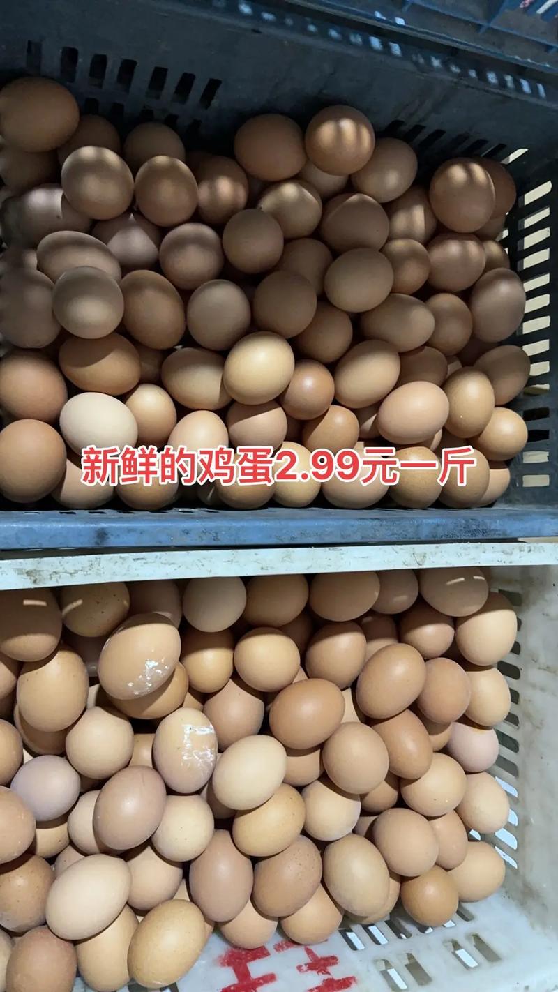 今日乌鲁木齐鸡蛋价格多少?-图2 今日乌鲁木齐鸡蛋价格多少?-图2