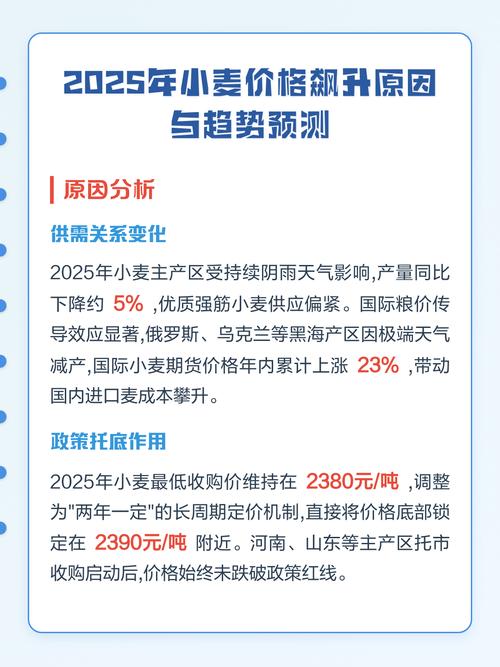 2025小麦价格会涨还是跌？-图1