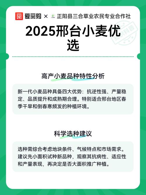 2025小麦价格会涨还是跌？-图2