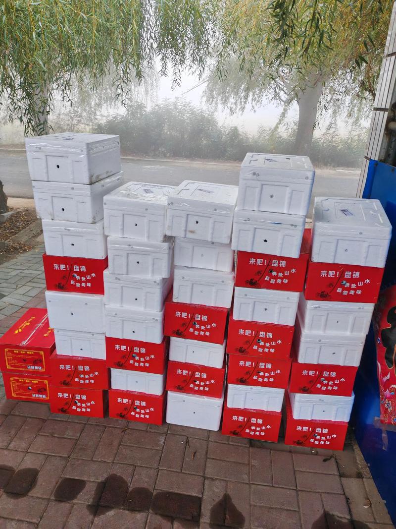 2025盘锦河蟹价格会涨还是跌？-图2