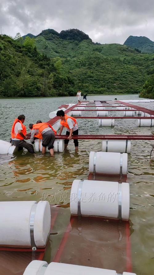 网箱养草鱼技术视频，新手怎么学？-图1