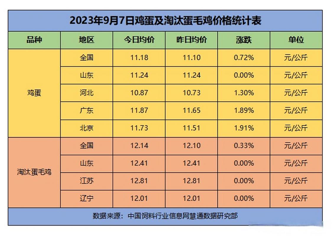 今日毛鸡价格是涨还是跌？-图3