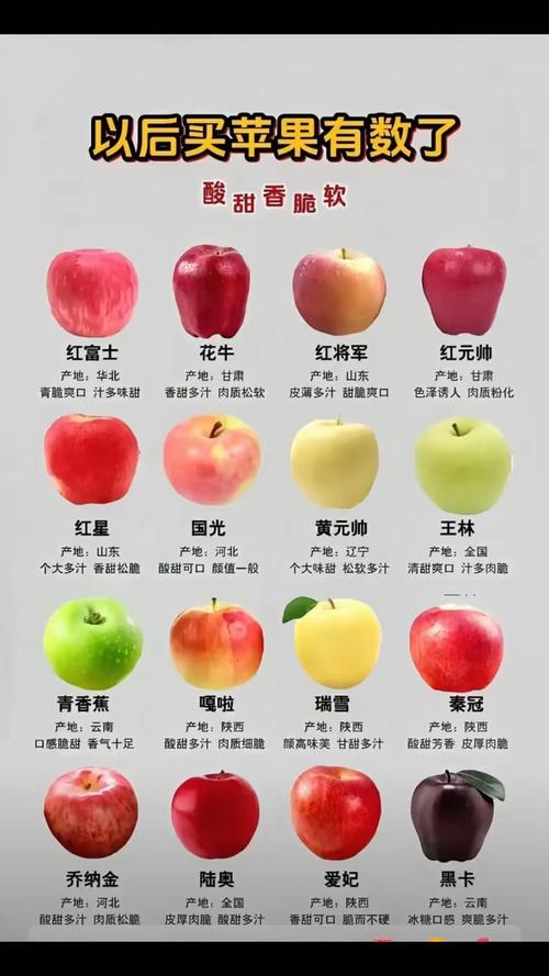 苹果常见品种有哪些?-图1 苹果常见品种有哪些?-图1