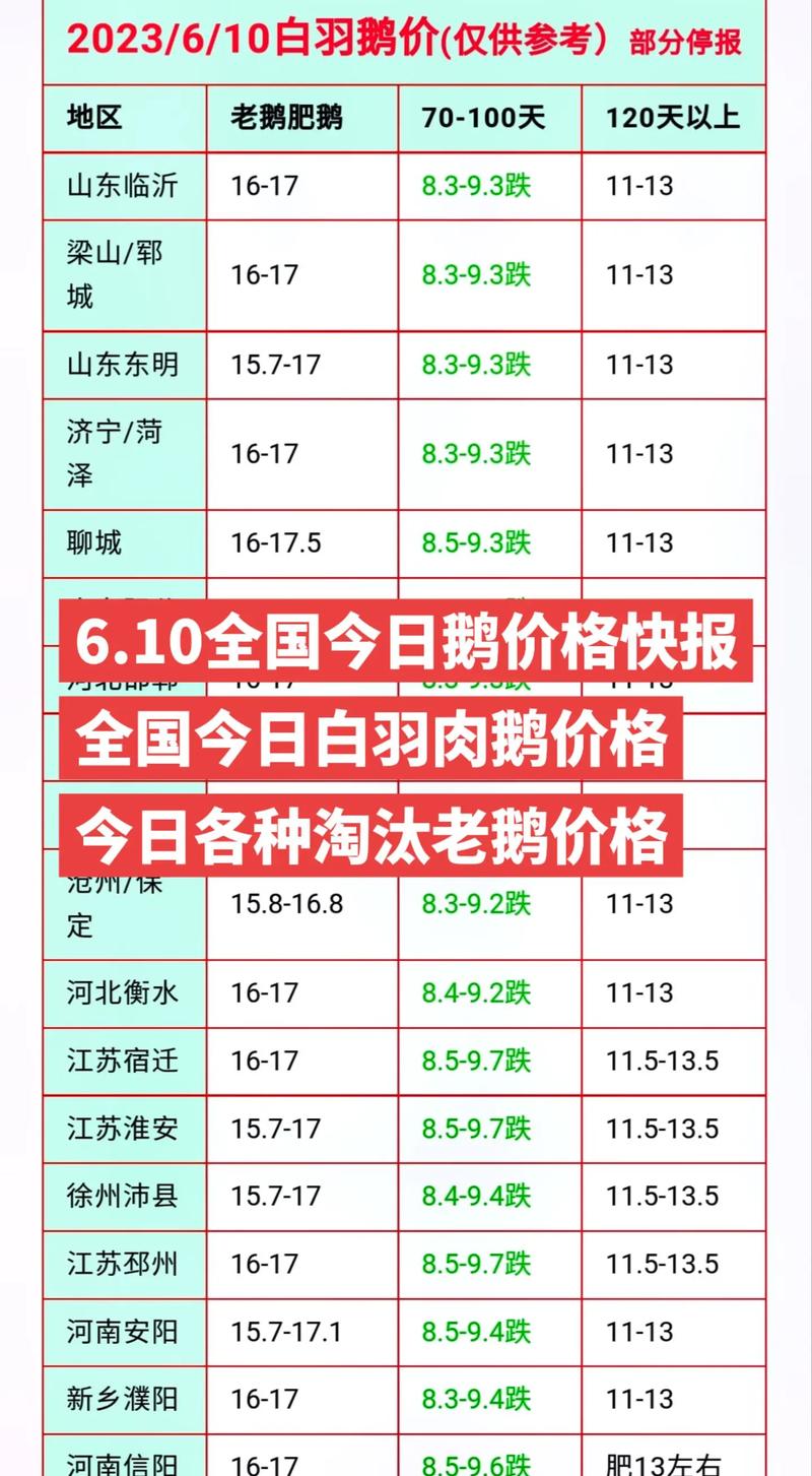 湛江鹅苗批发价多少钱一只？-图3