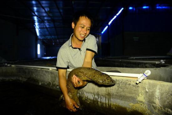 今年娃娃鱼市场价格多少钱一斤？-图2