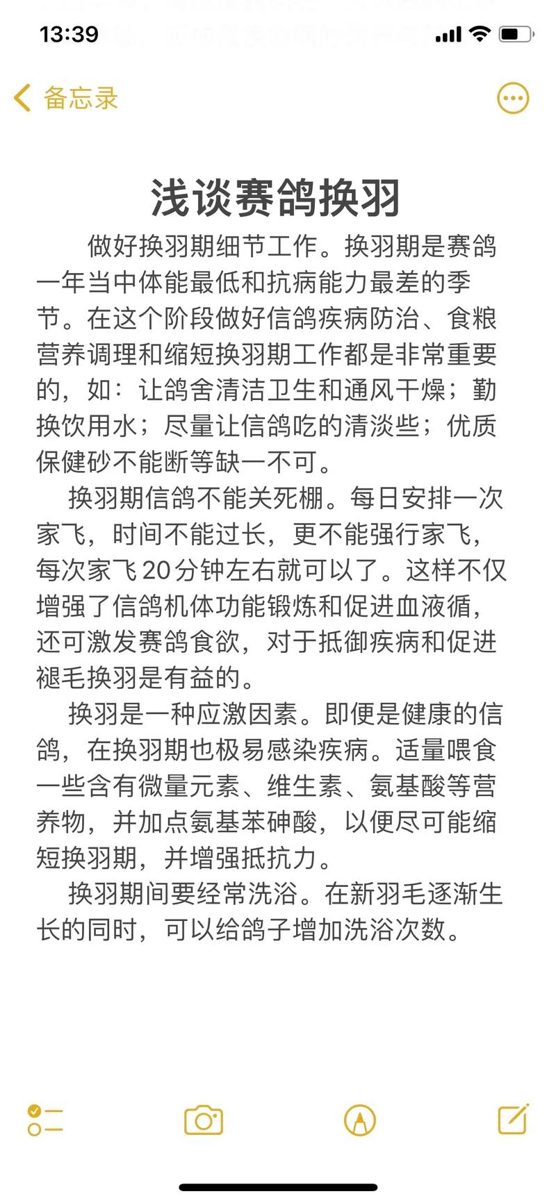 鸽子养殖技术视频,新手如何快速入门?-图3 鸽子养殖技术视频,新手如何快速入门?-图3
