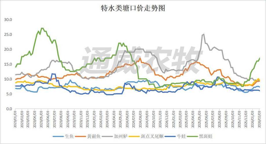 鲤鱼价格最新走势如何？-图2