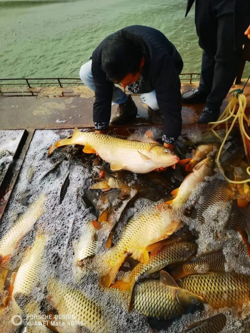 如何高效养殖水产珍贵品种？-图3