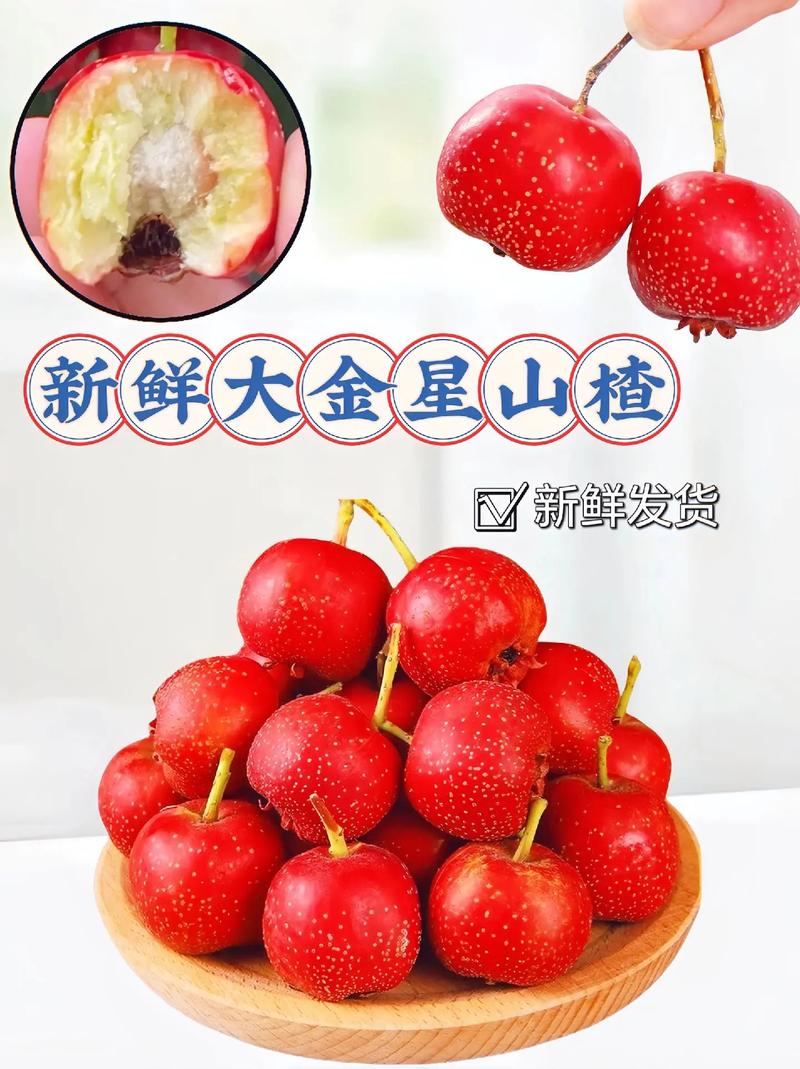 哪种山楂适合做加工?-图1 哪种山楂适合做加工?-图1