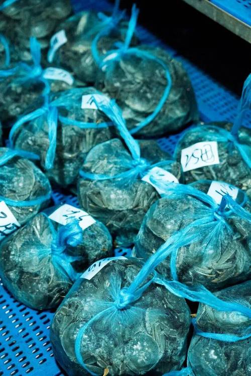 无锡水产批发市场价格今日如何？-图1