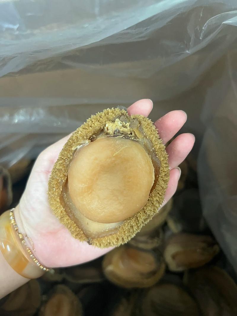 干鲍鱼一斤价格多少？-图1