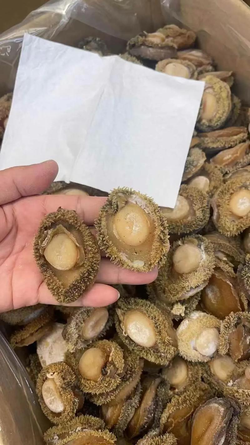 干鲍鱼一斤价格多少？-图3