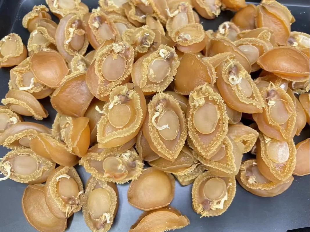 干鲍鱼一斤价格多少？-图2