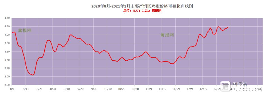 辽宁肉食鸡价格行情如何？-图1