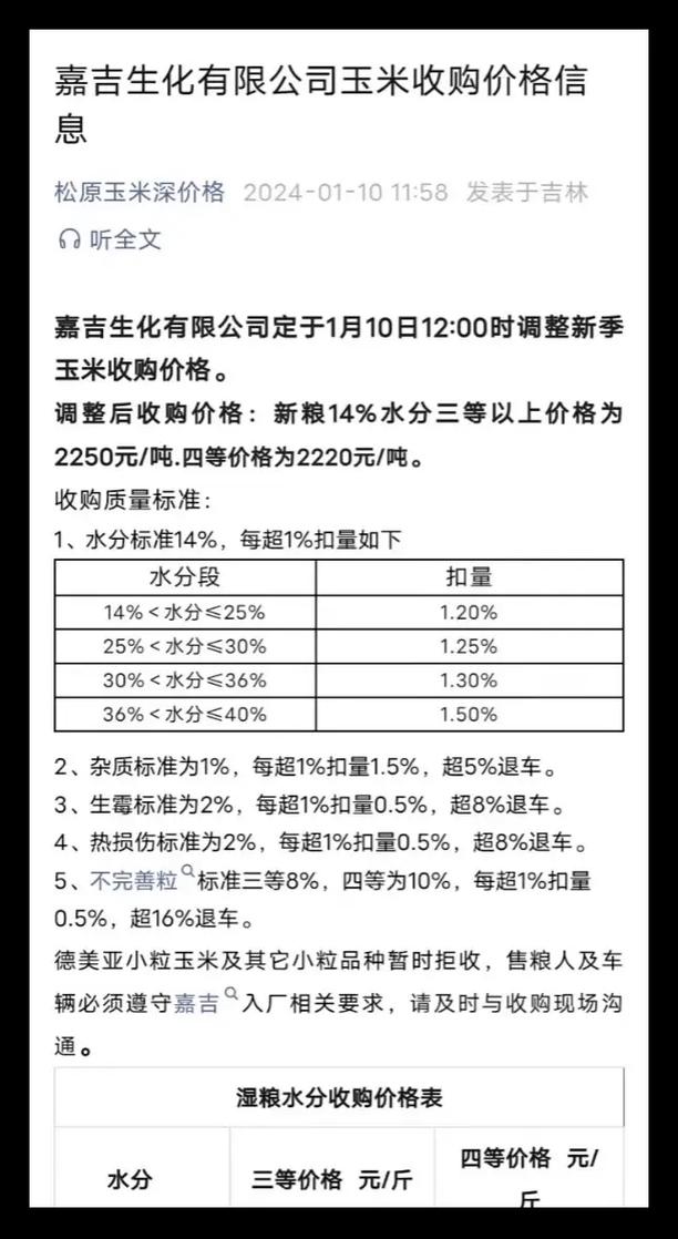 松原玉米价格现在多少钱一斤？-图1