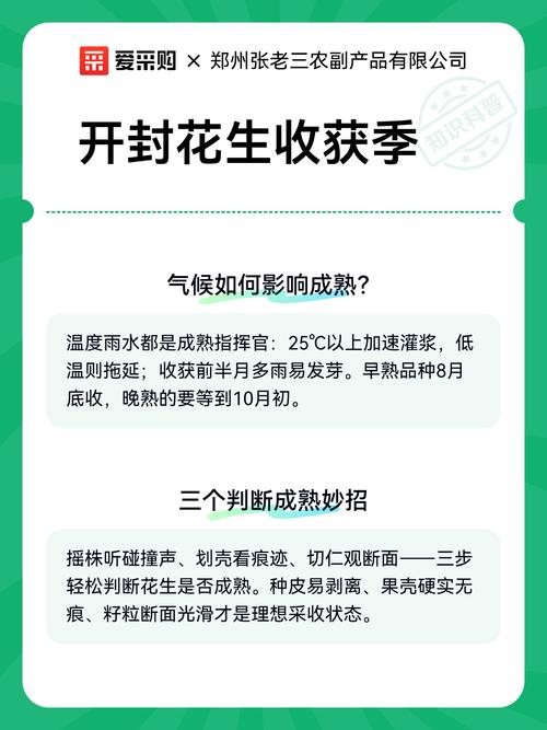 今日开封花生米价格多少钱一斤？-图1
