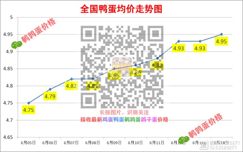 广东鸭蛋批发价现在多少？-图2