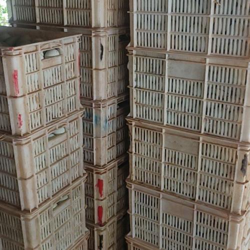 徐州鸭蛋批发价现在多少钱？-图2