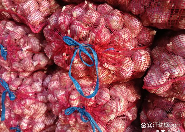 白蒜头价格多少钱一斤？-图3