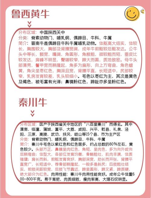 中国牛的品种有哪些?-图1 中国牛的品种有哪些?-图1